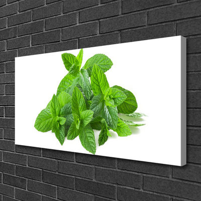 Canvas doek foto Mint plant nature