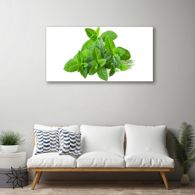 Canvas doek foto Mint plant nature