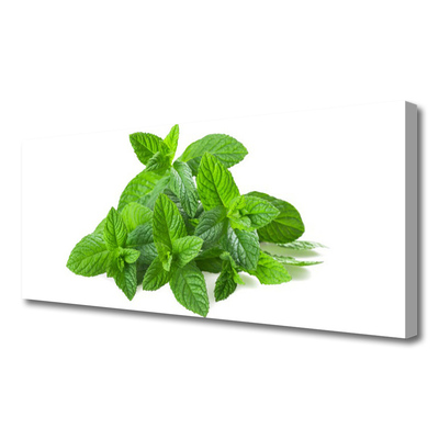 Canvas doek foto Mint plant nature