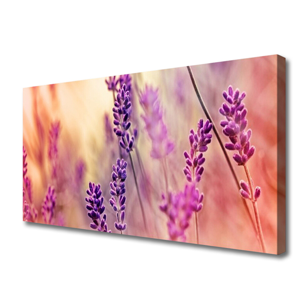 Canvas doek foto Bloemen plant nature