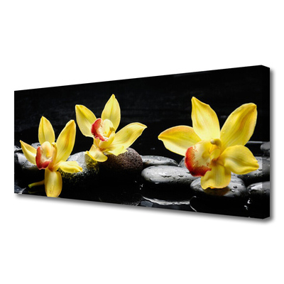 Canvas doek foto Flower orchideeinstallatie