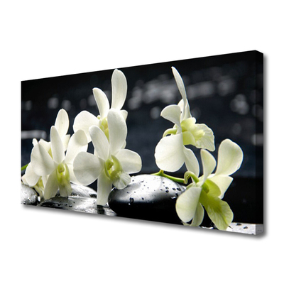 Canvas doek foto Flower orchideeinstallatie