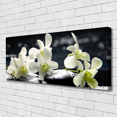 Canvas doek foto Flower orchideeinstallatie