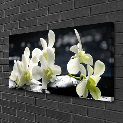 Canvas doek foto Flower orchideeinstallatie