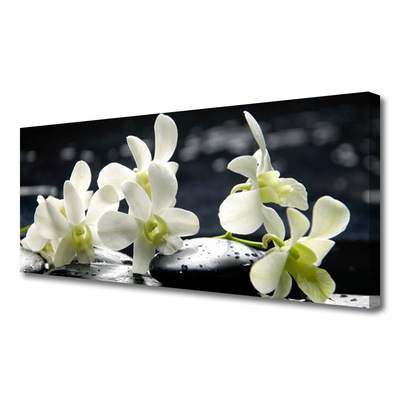 Canvas doek foto Flower orchideeinstallatie