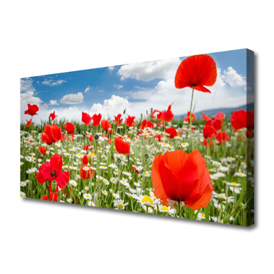 Canvas doek foto Meadow flowers nature