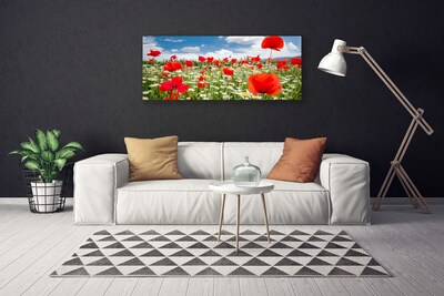 Canvas doek foto Meadow flowers nature