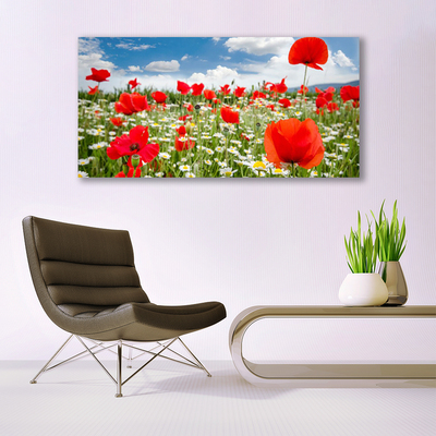 Canvas doek foto Meadow flowers nature