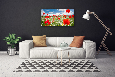 Canvas doek foto Meadow flowers nature