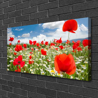 Canvas doek foto Meadow flowers nature