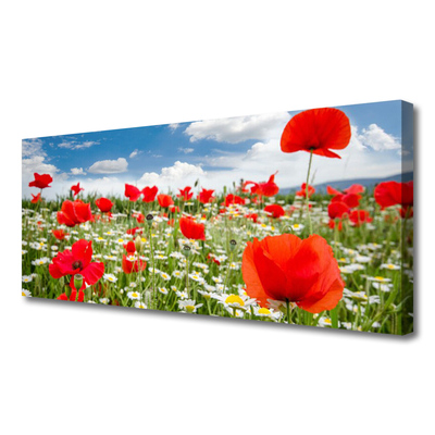 Canvas doek foto Meadow flowers nature