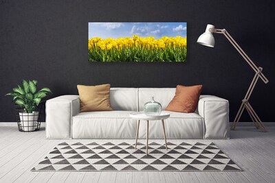 Canvas doek foto Tulpen bloemen plant