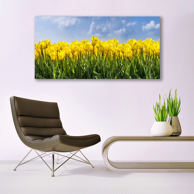 Canvas doek foto Tulpen bloemen plant