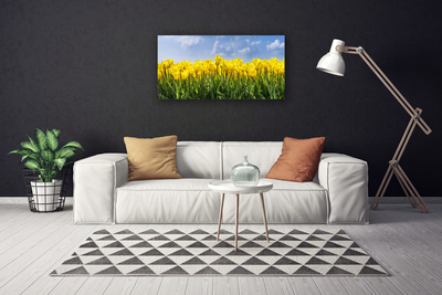 Canvas doek foto Tulpen bloemen plant