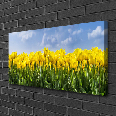 Canvas doek foto Tulpen bloemen plant