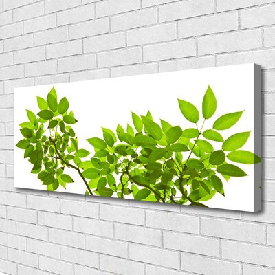 Canvas doek foto Branch leaves natuur plant