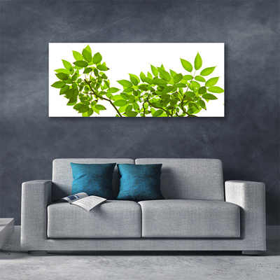 Canvas doek foto Branch leaves natuur plant
