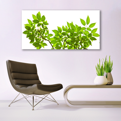 Canvas doek foto Branch leaves natuur plant