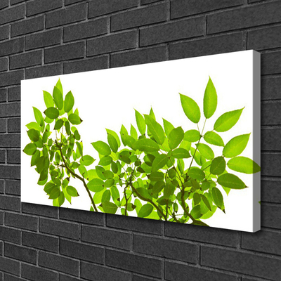 Canvas doek foto Branch leaves natuur plant