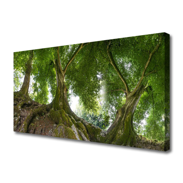 Canvas doek foto Bomen van de installatie nature