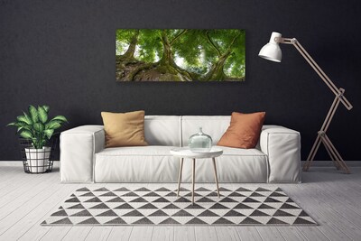 Canvas doek foto Bomen van de installatie nature