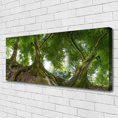 Canvas doek foto Bomen van de installatie nature