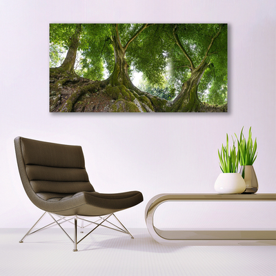 Canvas doek foto Bomen van de installatie nature