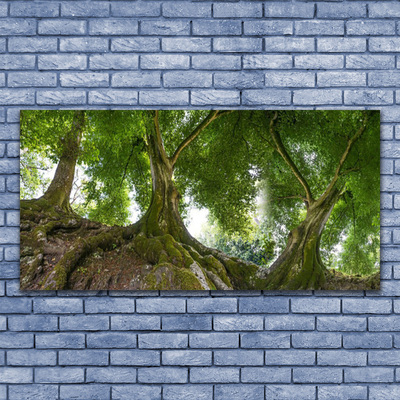 Canvas doek foto Bomen van de installatie nature