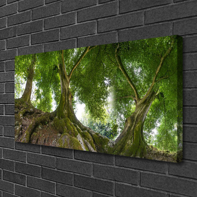 Canvas doek foto Bomen van de installatie nature