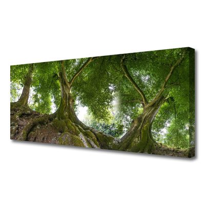 Canvas doek foto Bomen van de installatie nature