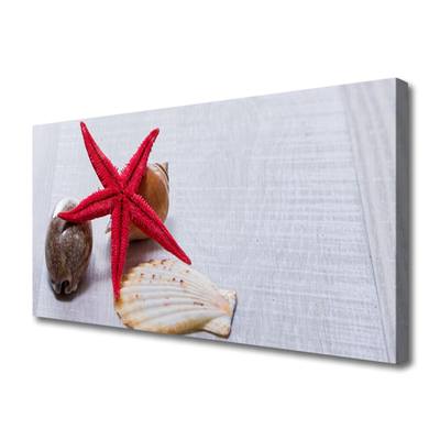 Canvas doek foto Zeester shells art