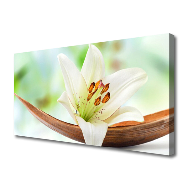 Canvas doek foto Natuur bloem plant