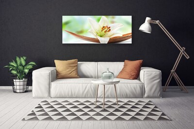 Canvas doek foto Natuur bloem plant