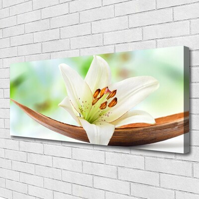 Canvas doek foto Natuur bloem plant