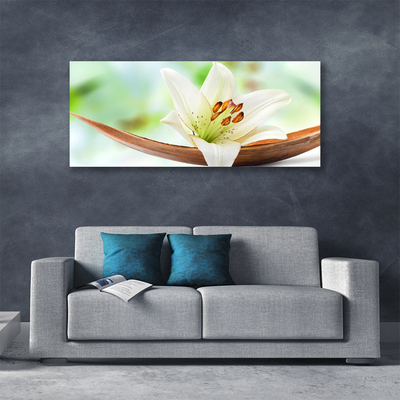 Canvas doek foto Natuur bloem plant