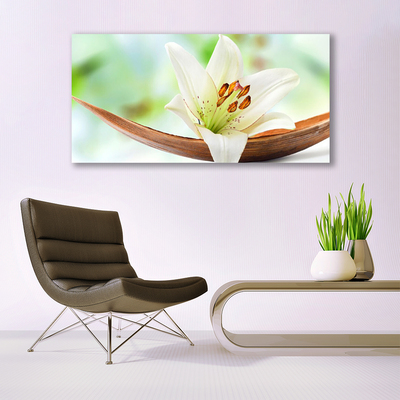 Canvas doek foto Natuur bloem plant