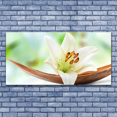 Canvas doek foto Natuur bloem plant