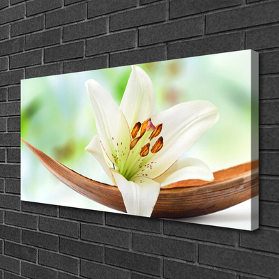 Canvas doek foto Natuur bloem plant