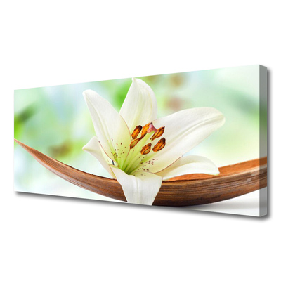 Canvas doek foto Natuur bloem plant