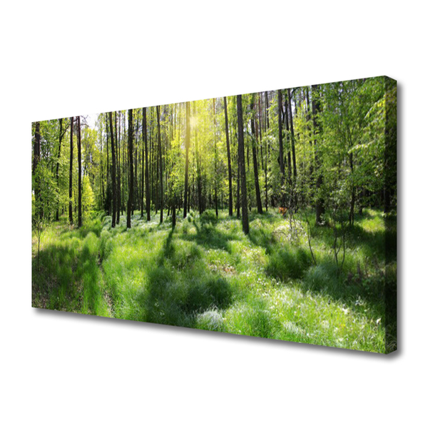 Canvas doek foto Bos gras natuur plant