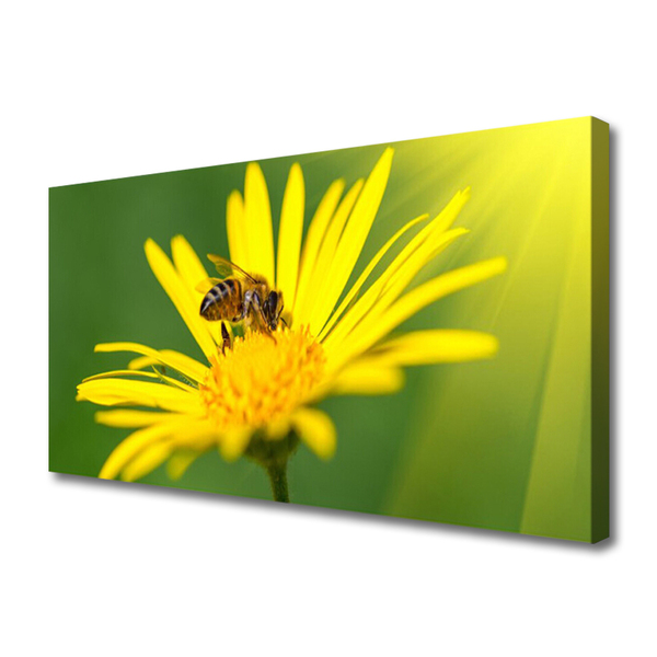 Canvas doek foto Bee flower nature