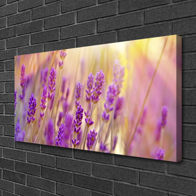 Canvas doek foto Bloemen plant nature