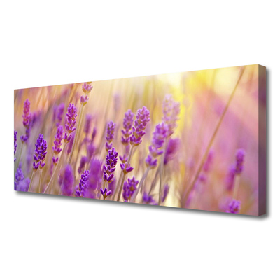 Canvas doek foto Bloemen plant nature