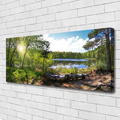 Canvas doek foto Lake forest trees nature