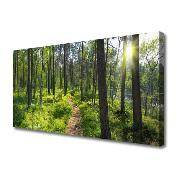 Canvas doek foto Bos weg lane nature