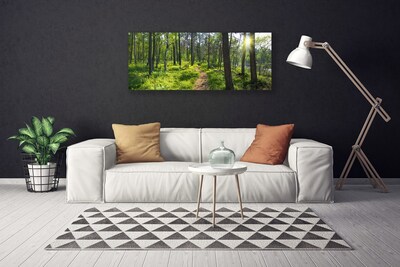 Canvas doek foto Bos weg lane nature