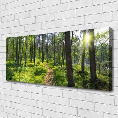 Canvas doek foto Bos weg lane nature