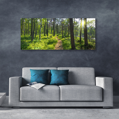 Canvas doek foto Bos weg lane nature