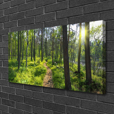 Canvas doek foto Bos weg lane nature