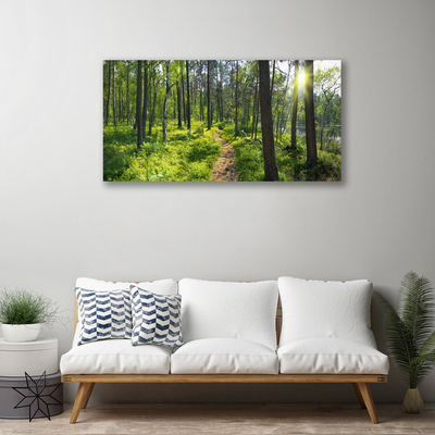 Canvas doek foto Bos weg lane nature